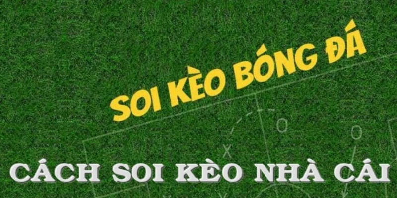 Cách soi kèo nhà cái tại BK8 - Kèo tài xỉu